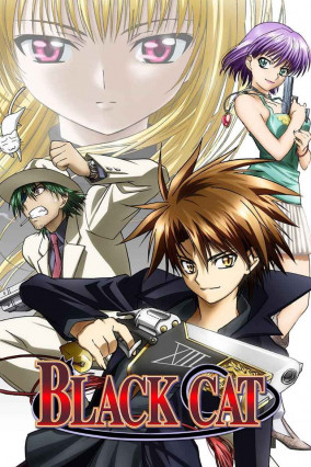 Black Cat (TV)