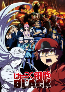 مسلسل انمي Hataraku Saibou Black (TV) مترجم